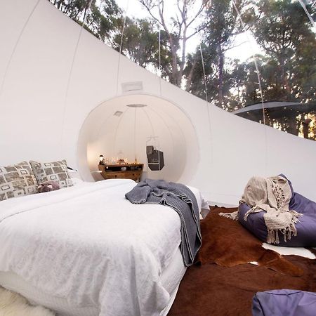 Skyview Bubbletent Eganstown Bagian luar foto