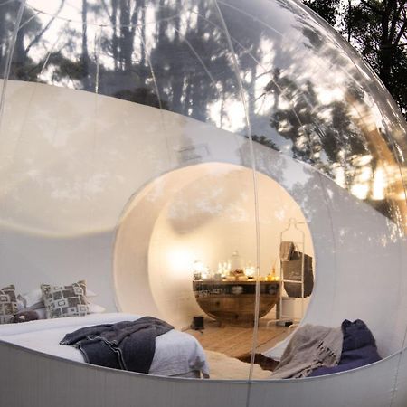 Skyview Bubbletent Eganstown Bagian luar foto