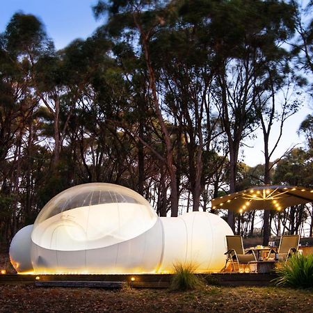 Skyview Bubbletent Eganstown Bagian luar foto